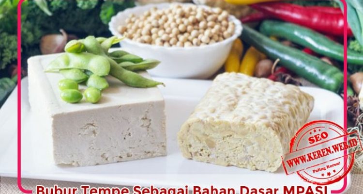 bubur-daging-tempe-mpasi Resep Bubur Daging dan Tempe untuk MPASI
