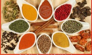 budidaya-lada-panjat Cara Budidaya Tanaman Lada Panjat (sahang)