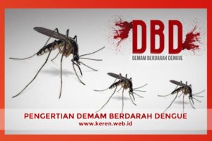 Pengertian dan Gejala Demam Berdarah Dengue