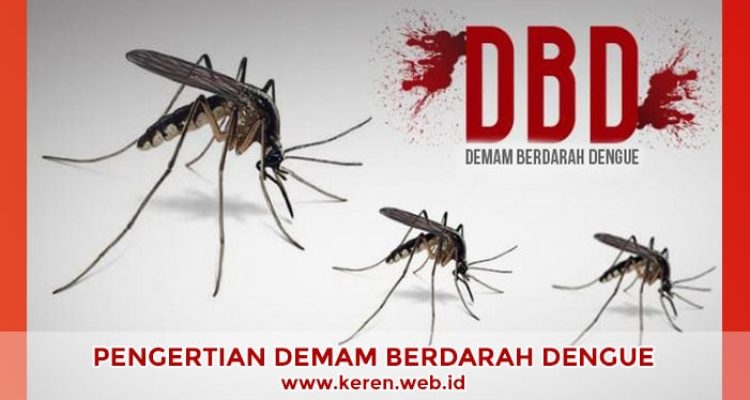 Pengertian dan Gejala Demam Berdarah Dengue