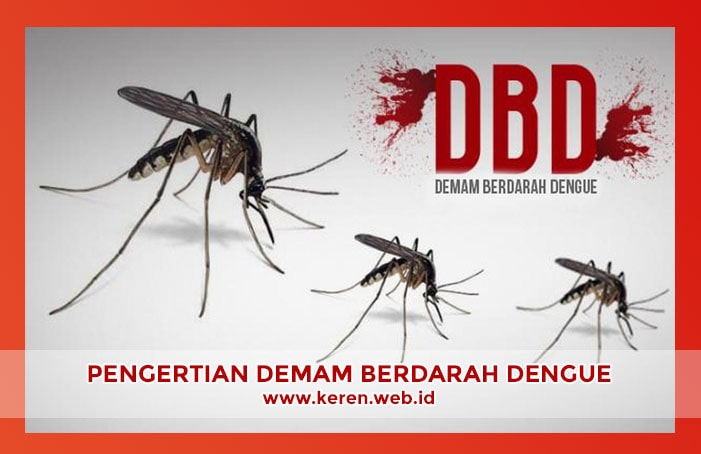 Pengertian dan Gejala Demam Berdarah Dengue