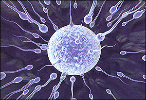 Produksi Sperma Berkurang