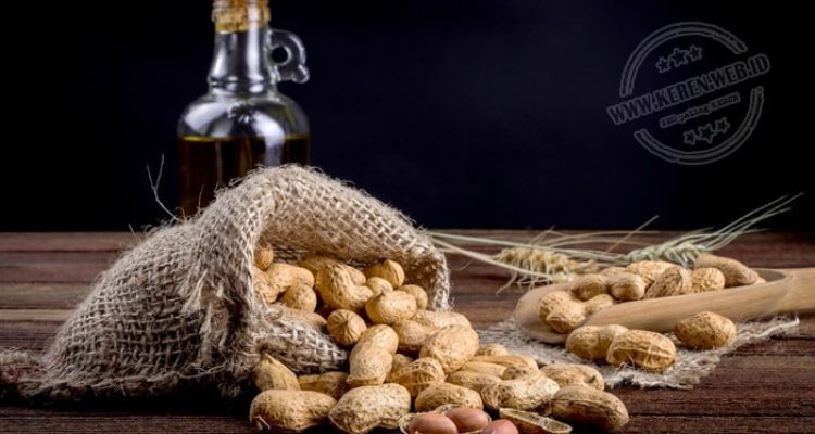 Manfaat & Kandungan Kacang Tanah untuk Kesehatan