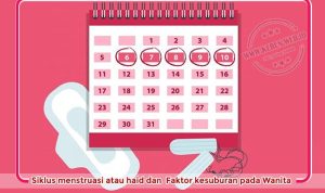 siklus-menstruasi-dan-kesuburan-wanita Siklus menstruasi atau haid dan faktor kesuburan pada Wanita