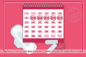 Siklus menstruasi atau haid dan faktor kesuburan pada Wanita